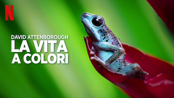 David Attenborough: la vita a colori (2021)