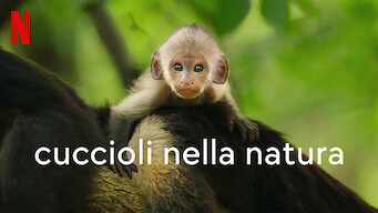 Cuccioli nella natura (2022)