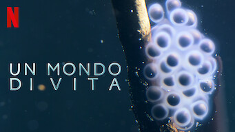 Un mondo di vita (2024)